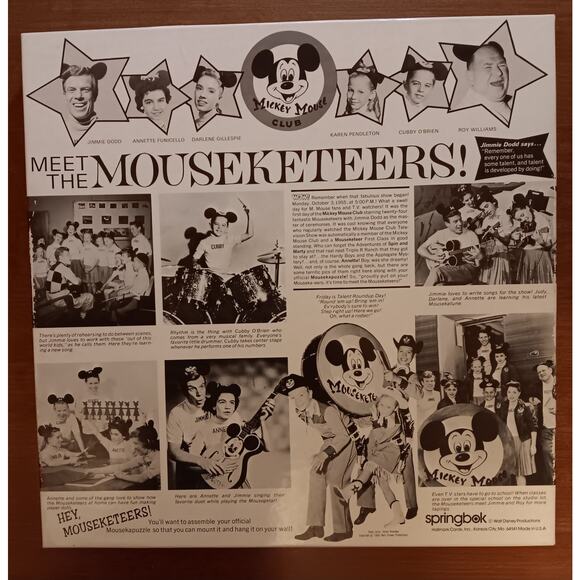 Vintage Springbok Mousekapuzzle Mickey Mouse Club Circular Jigsaw Puzzle - Picture 4 of 14
